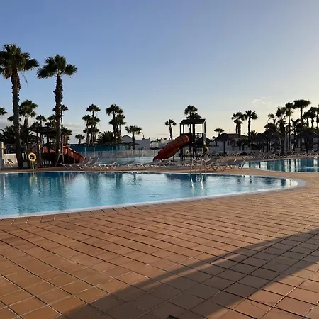 Oasis Jaylota *