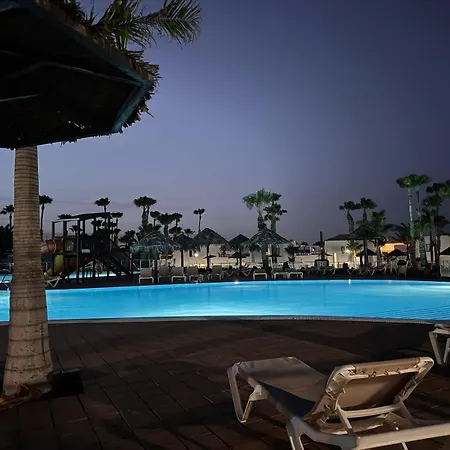 Oasis Jaylota