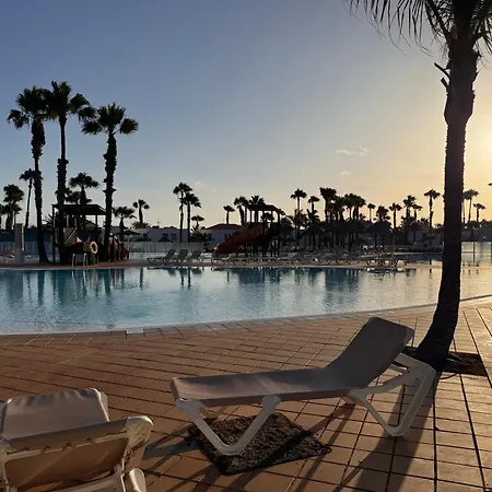 Oasis Jaylota コラレホ